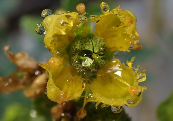 P1144941a.jpg